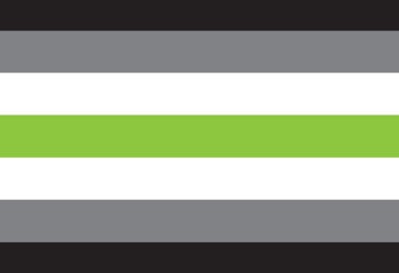 Picture of Agender Pride Flag - 2x3