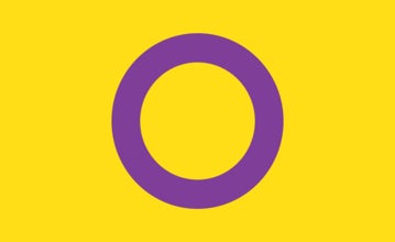 Picture of Intersex Pride Flag - 3x5