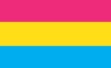 Picture of Pansexual Pride Flag - 3x5