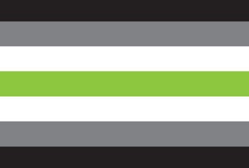 Picture of Agender Pride Flag - 4x6