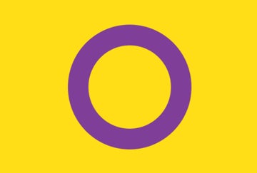 Picture of Intersex Pride Flag - 4x6