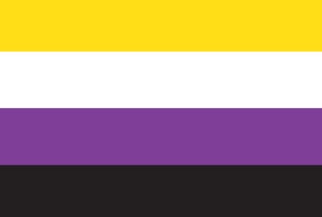 Picture of Non-Binary Pride Flag - 4x6