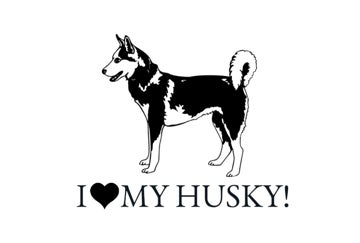 Picture of Novelty 10