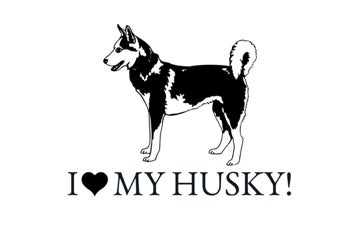 Picture of Novelty 10